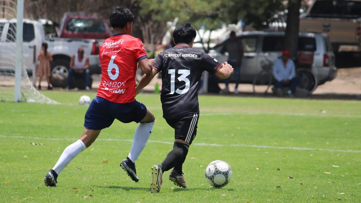 El ganador....