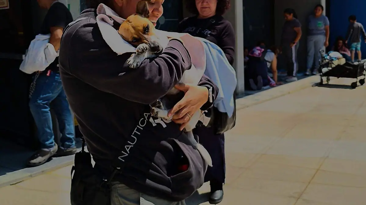 ADOPCIÓN