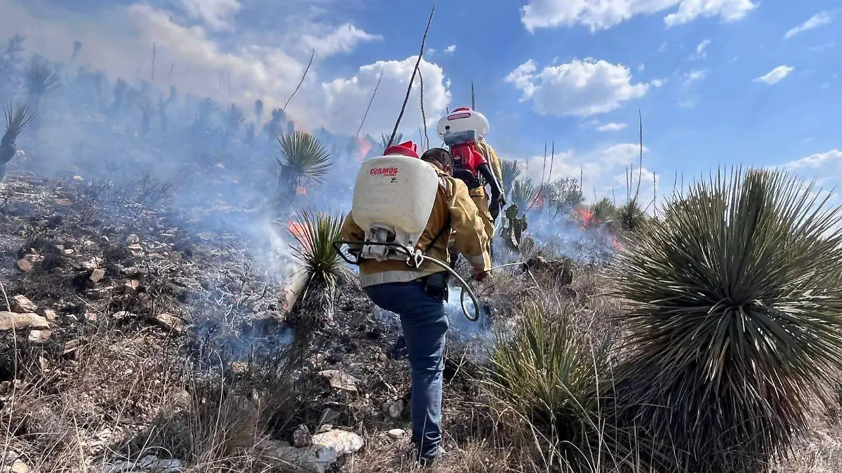incendiosanluisdelapaz3