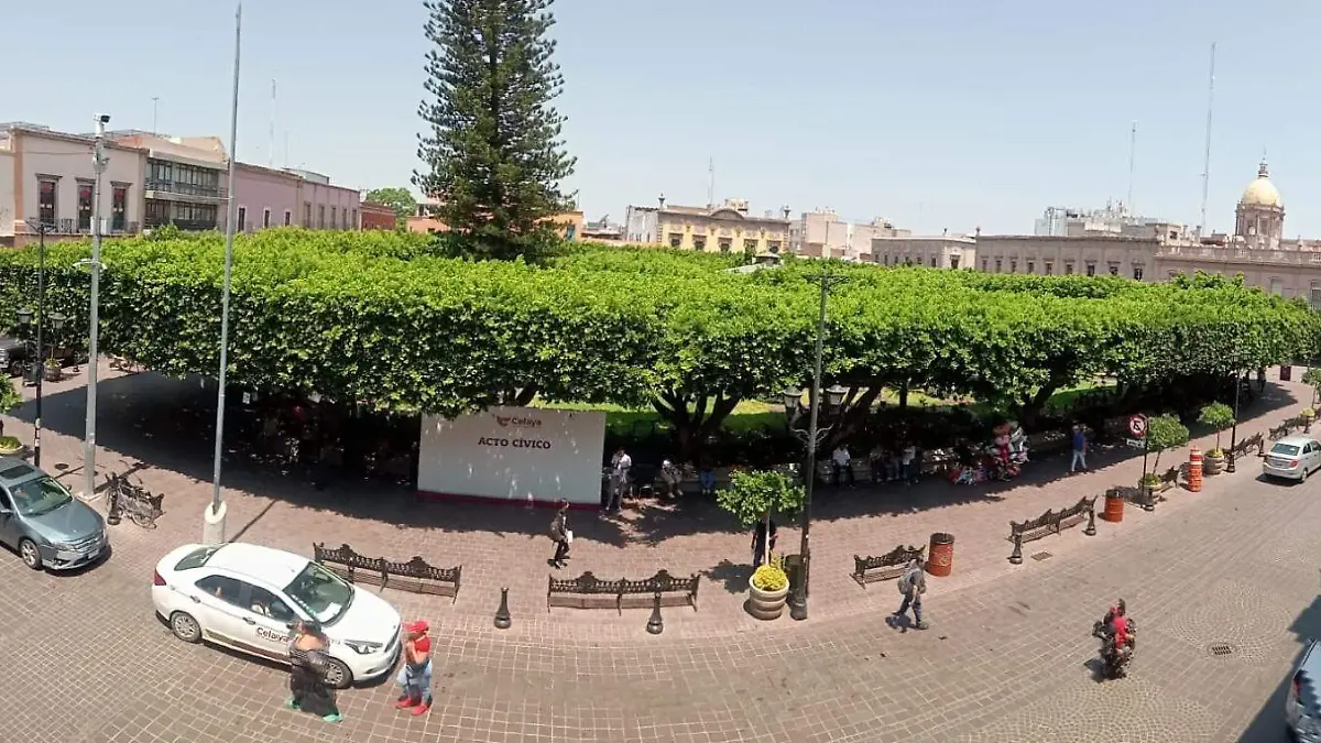celaya  (1)