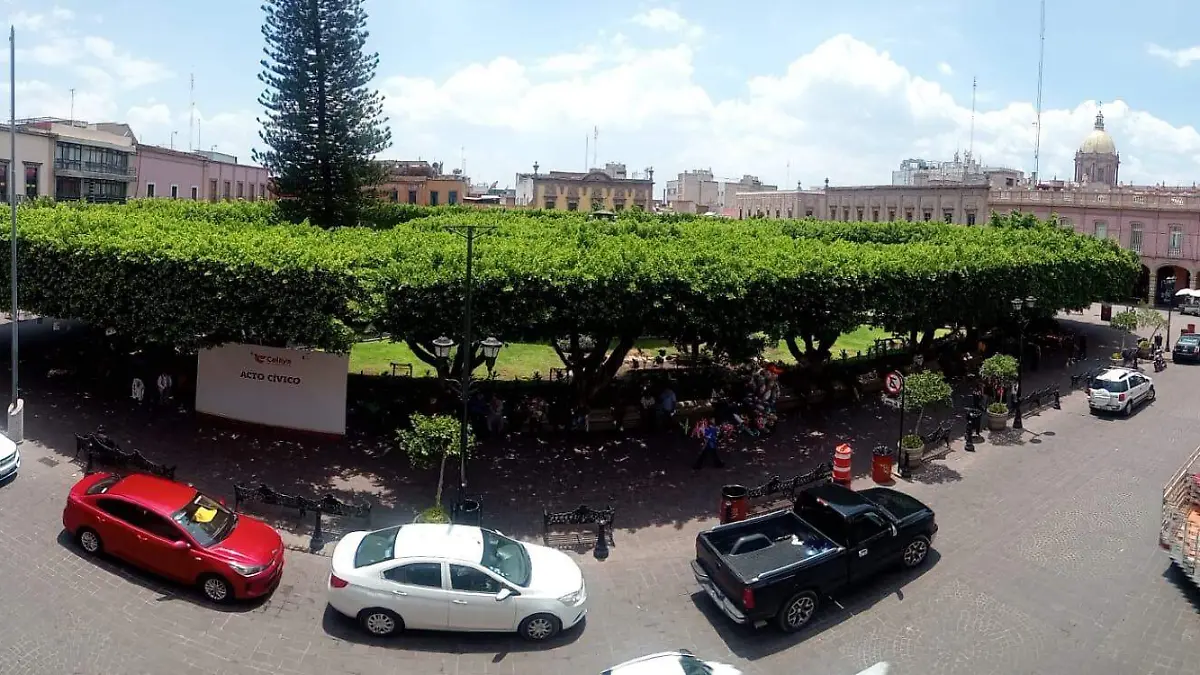 celaya esta mejor  (1)