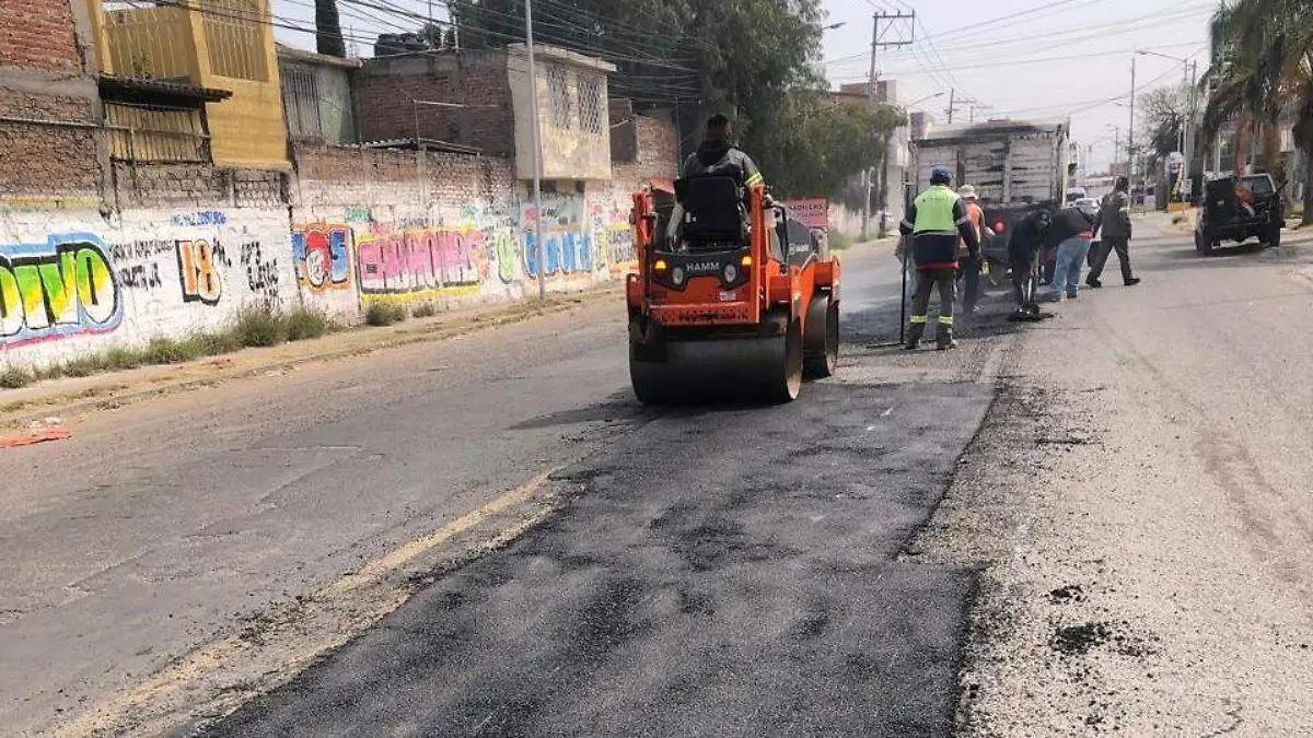 BACHE1