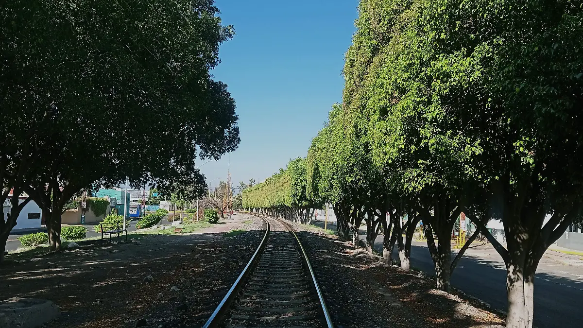 arbol habia demanda 2