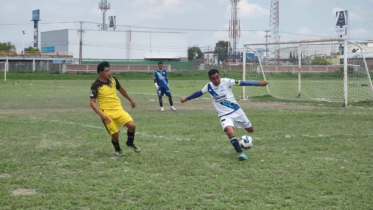 Los partidos.....
