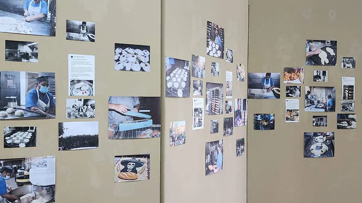 Exposición1