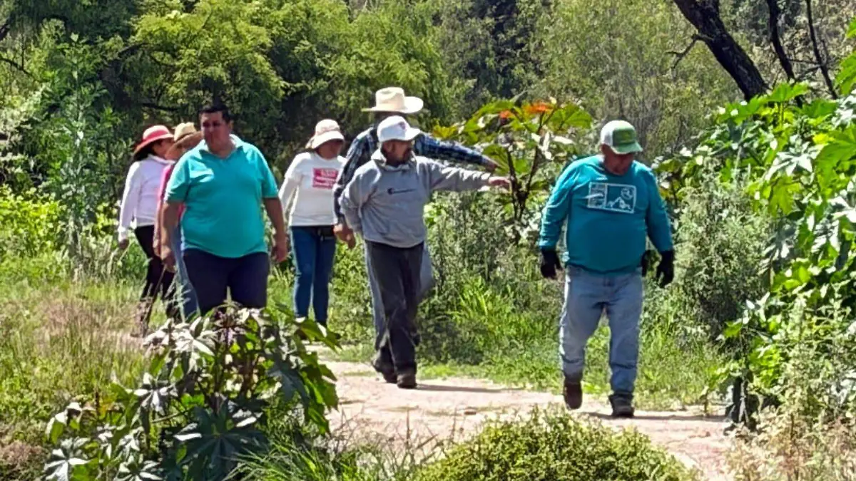 Reforestación3