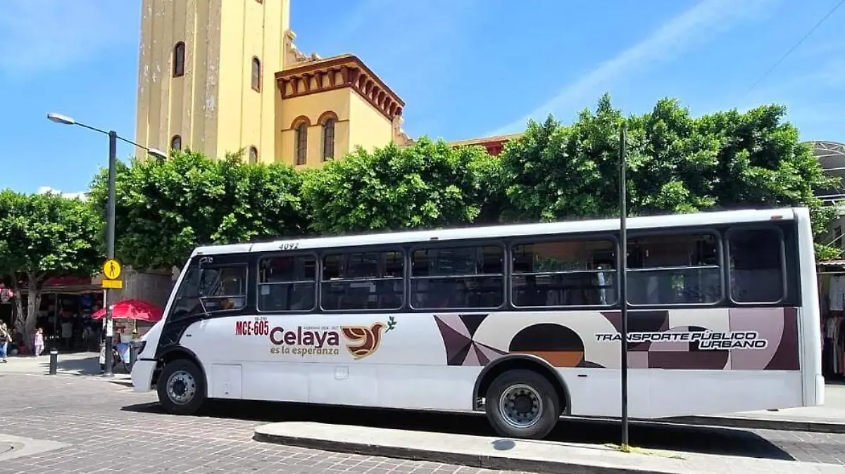 transporte