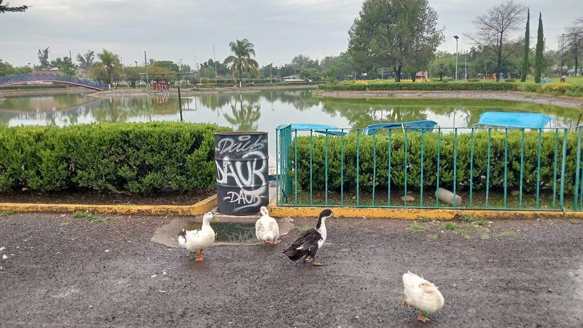 parque 3