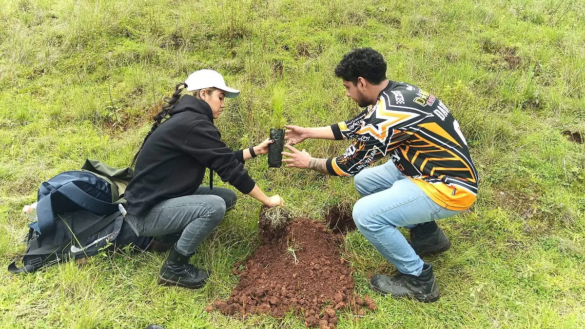 REFORESTACIÓN7