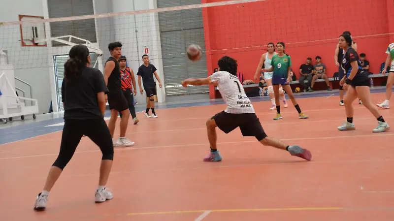 Jugaron la jornada 12. 