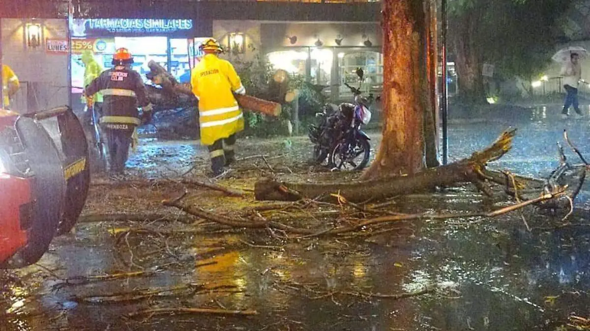 lluvia de lunes (1)