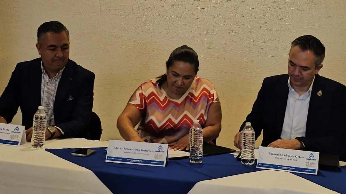 ieca1