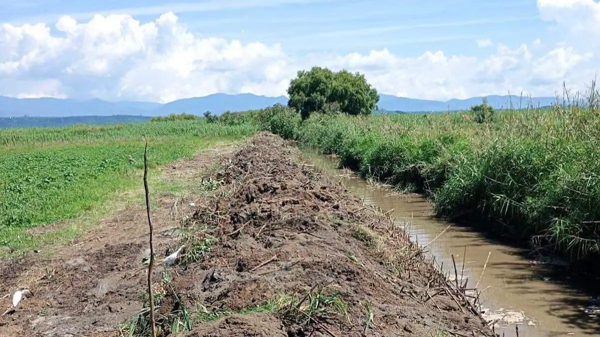 Limpieza canal
