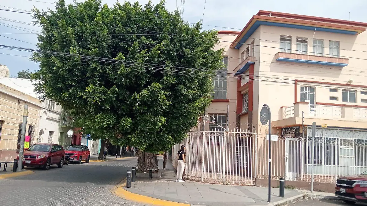 casas ia 10
