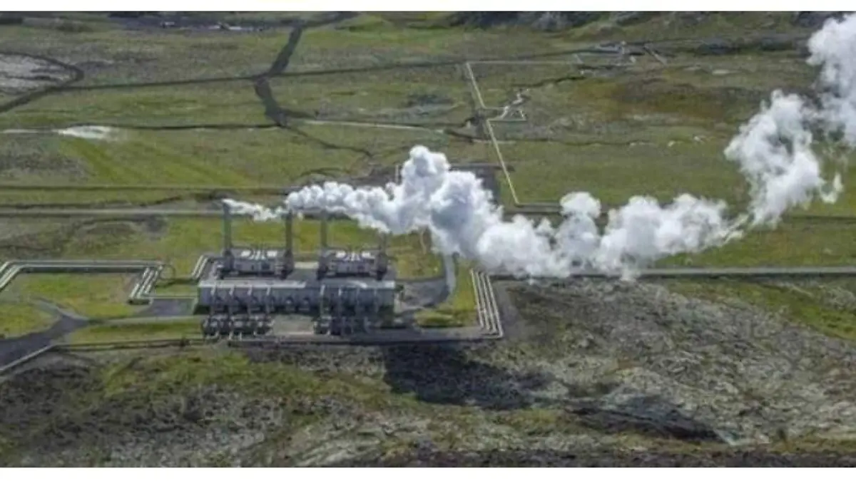 planta cortesía gobienro del estado 