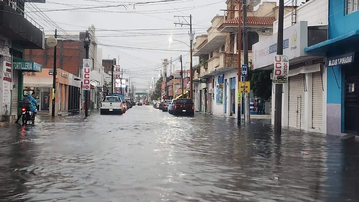 Servicios 2