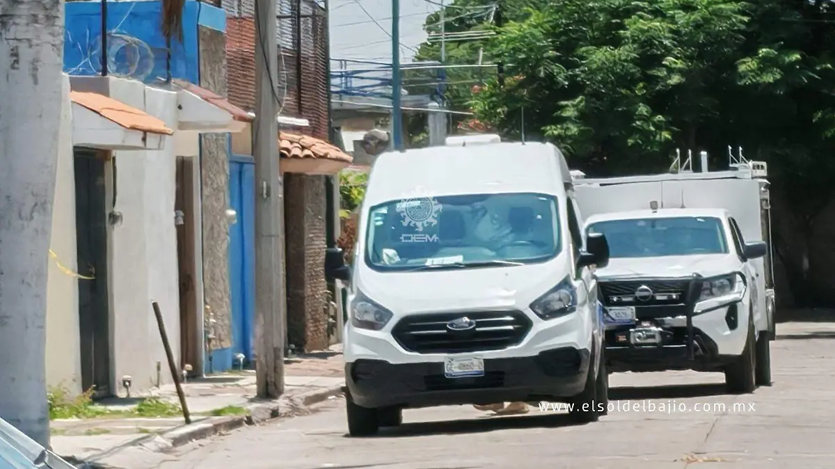 muerta 2