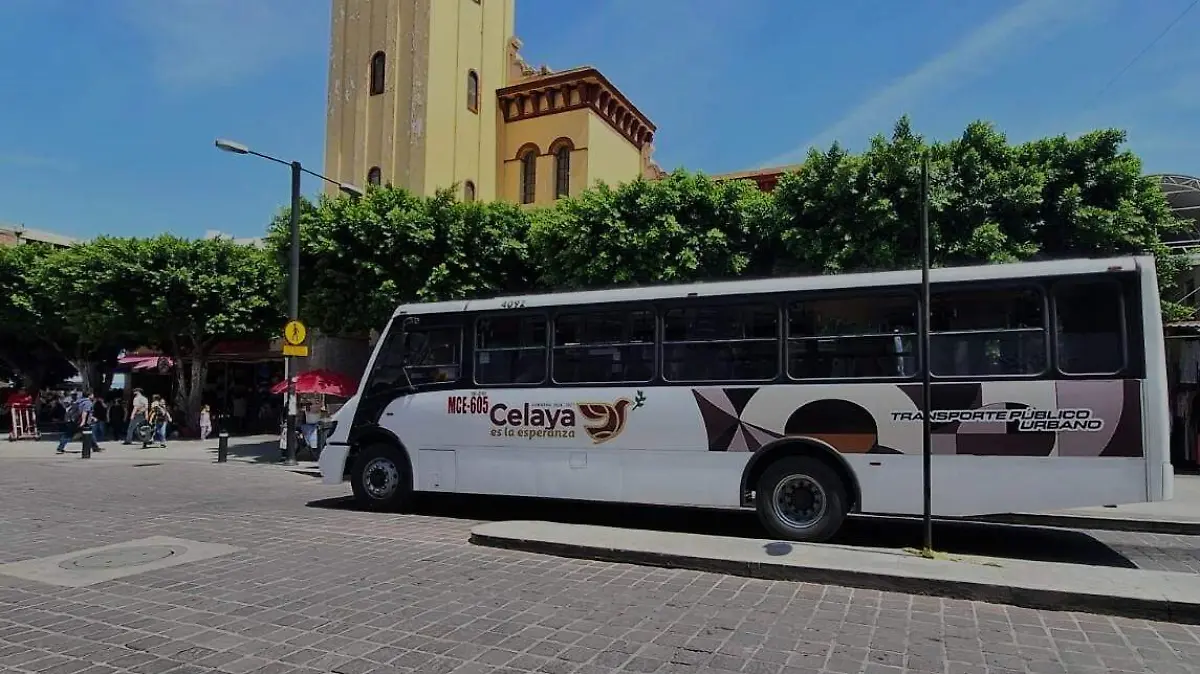 transporte celaya 