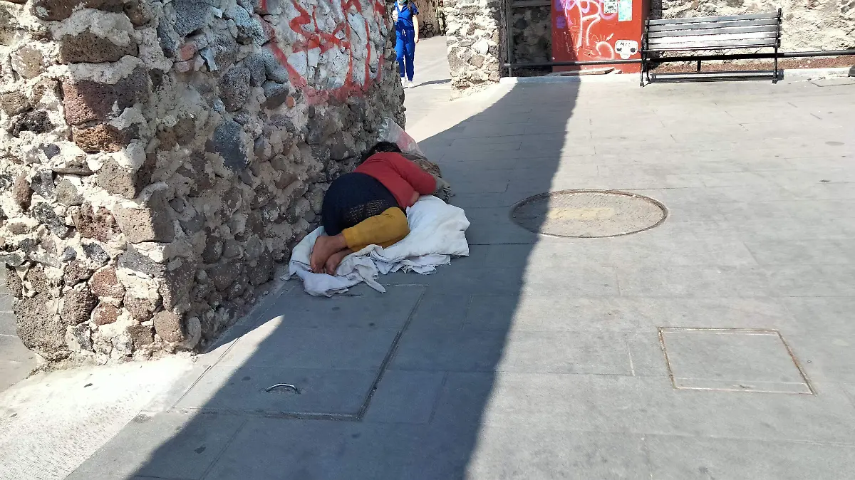 se necesita albergue