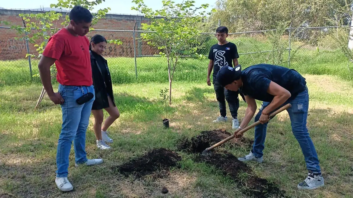 Árbol1