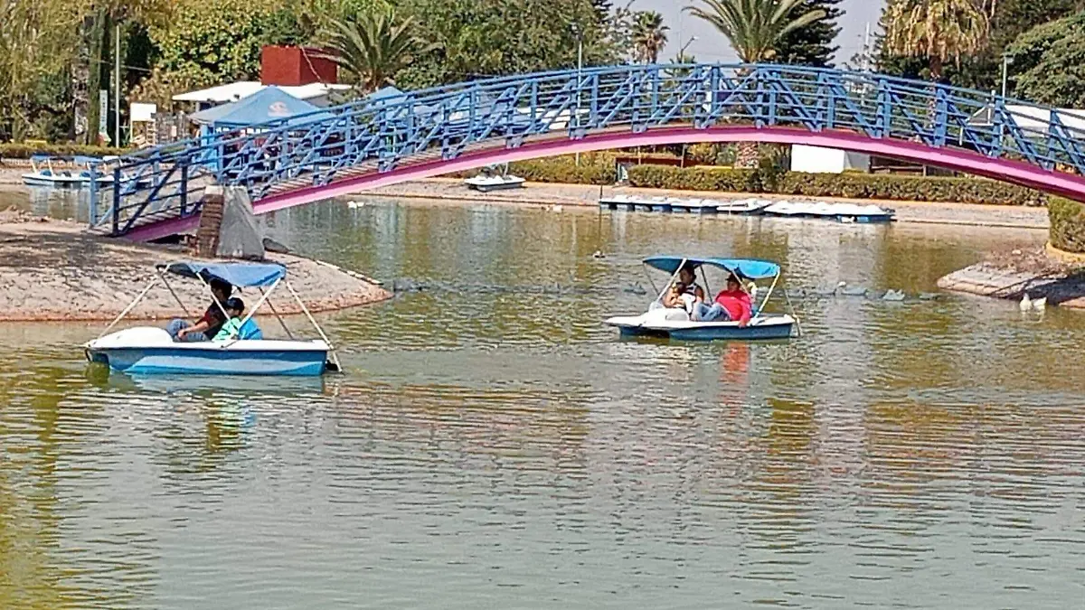 xochipilli 6