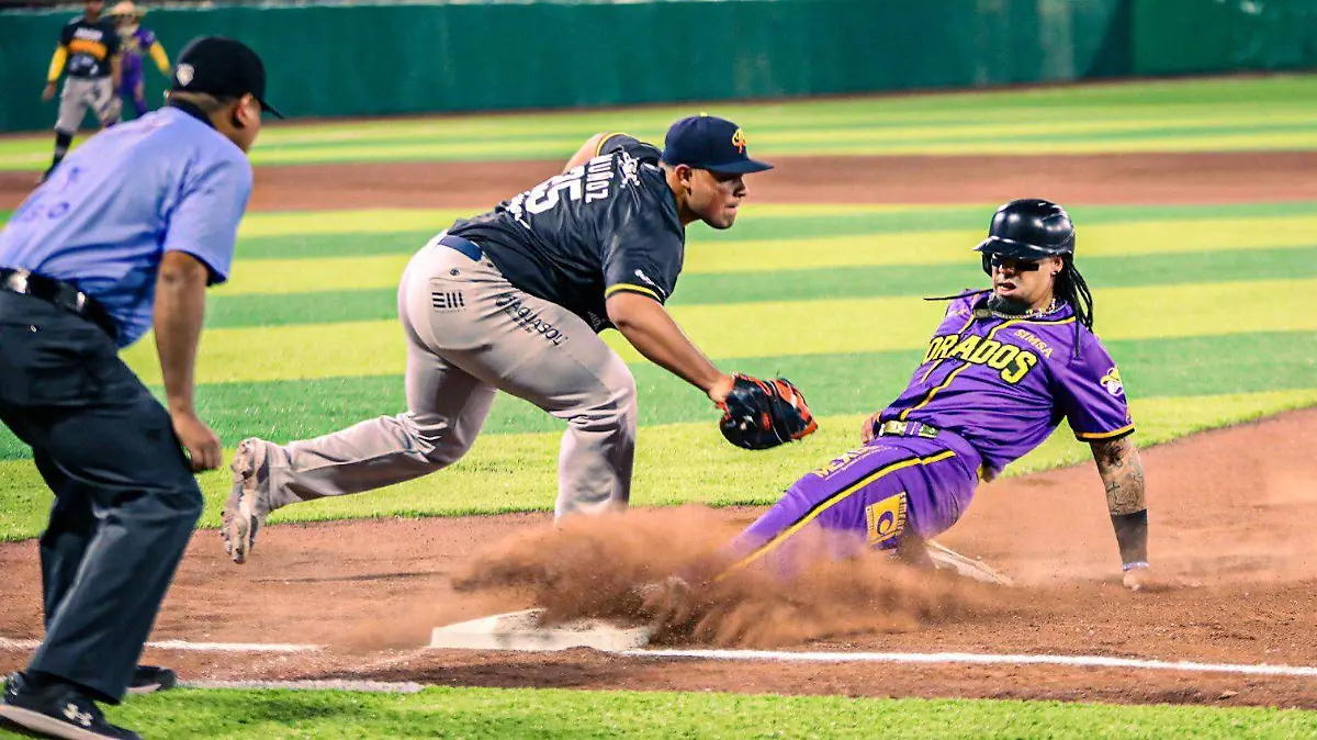 WhatsApp Image 2024-04-17 at 11.27.21 AM