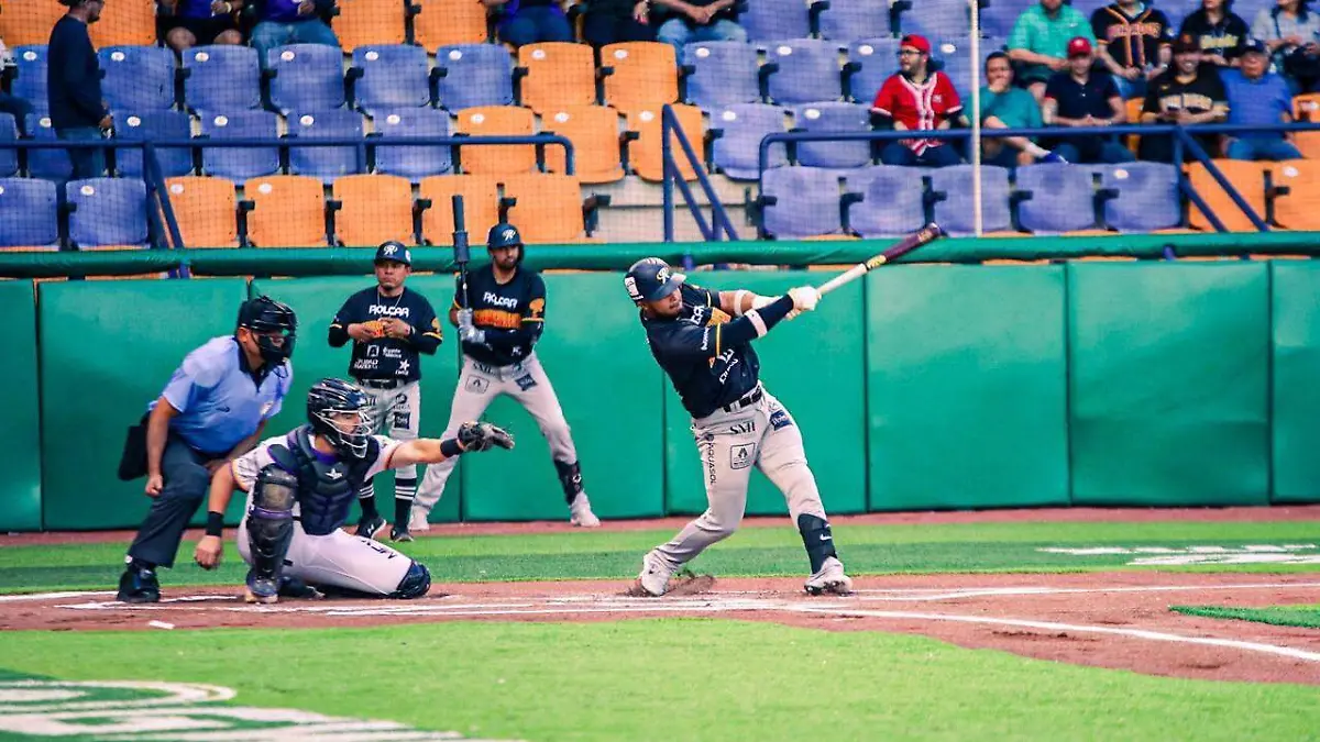 WhatsApp Image 2024-04-18 at 10.54.50 AM