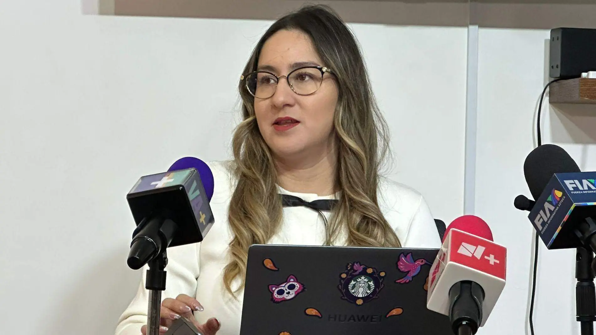 Dafne Viramontes, presidenta del Colegio de Economistas 