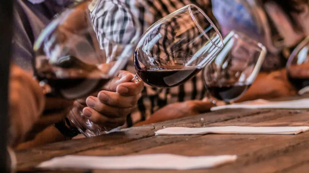 Vinos-Vinícolas-Vinoterías