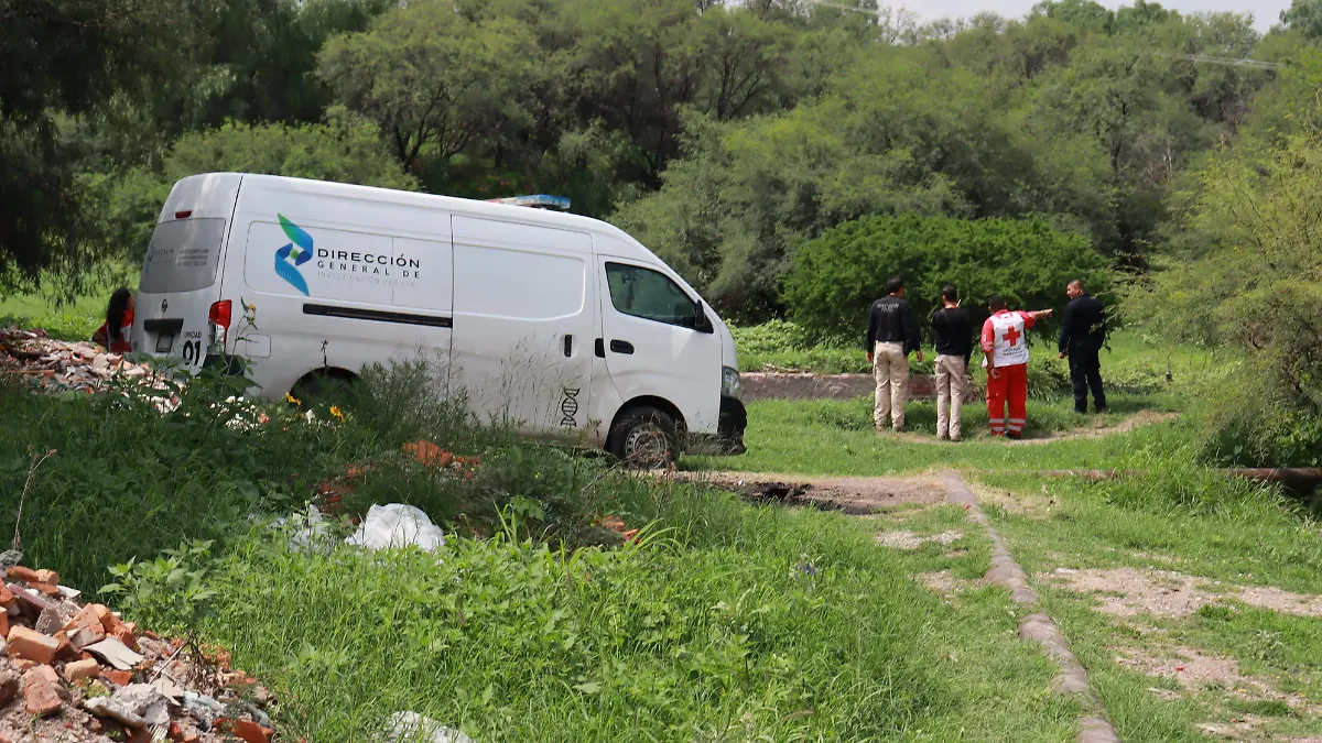 Homicidios-Inseguridad-Violencia