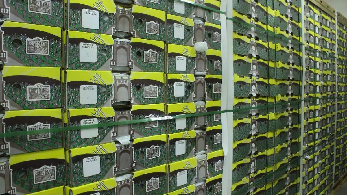 Incrementa producción de uva en Aguascalientes