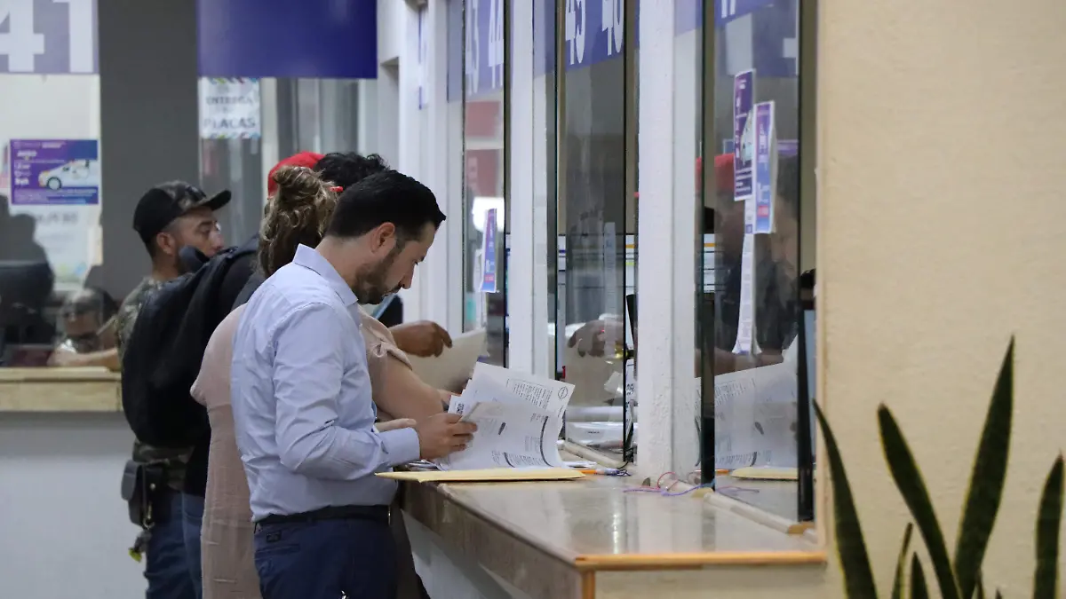 Canejo de placas-Finanzas