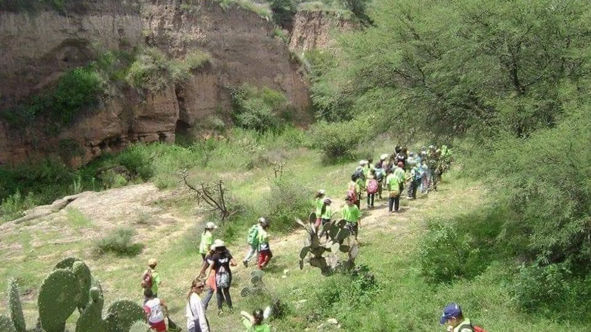 Bosque de Cobos-Actividades-Naturaleza