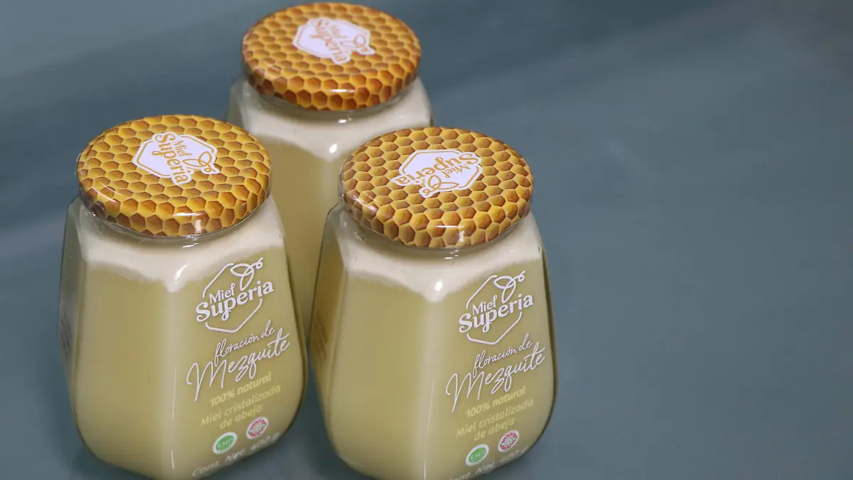 Abejas-Abejitas-Miel-Apicultura