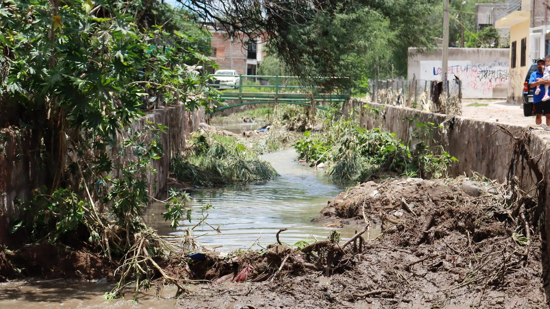 Arroyo-Limpieza-Desmazelado