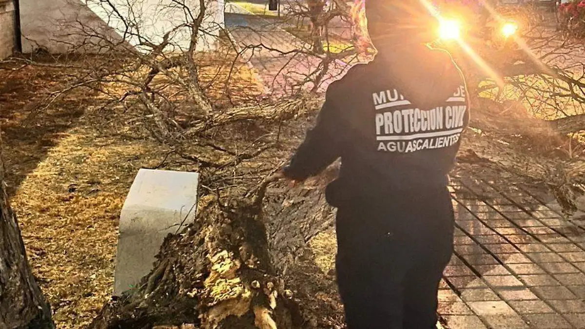 Afectaciones por el viento-Aguascalientes