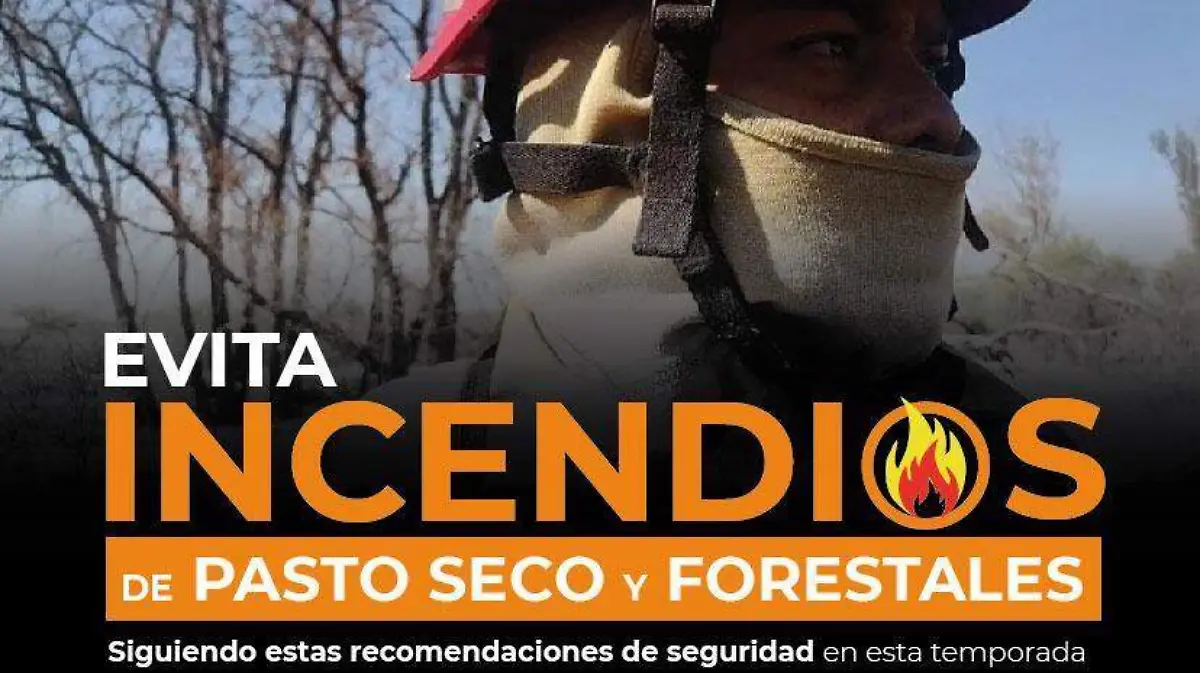 Incendios forestales-Precaución-Recomendaciones