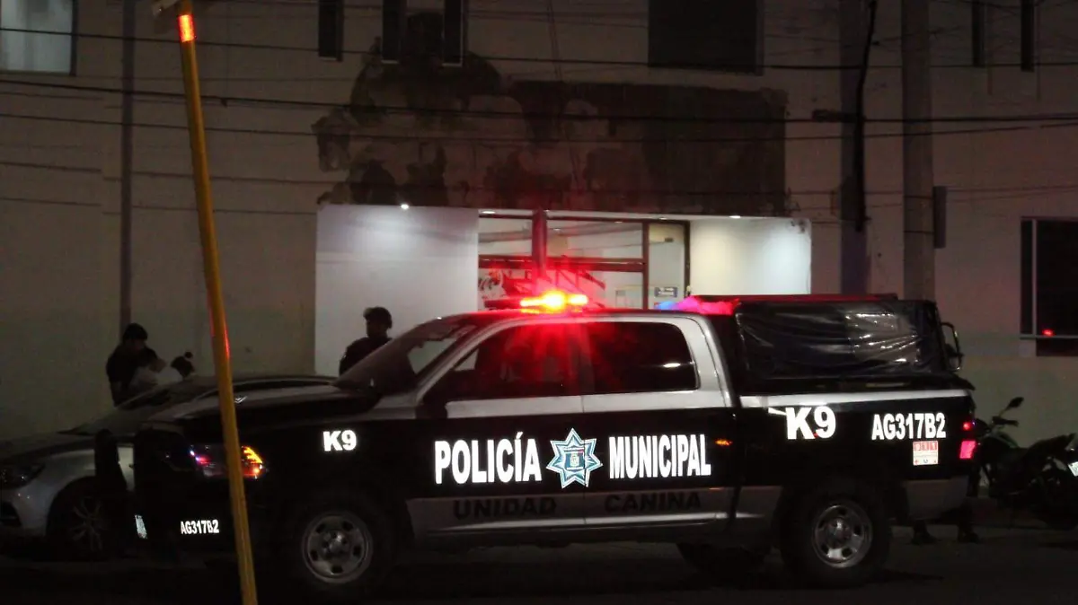 Violencia-inseguridad