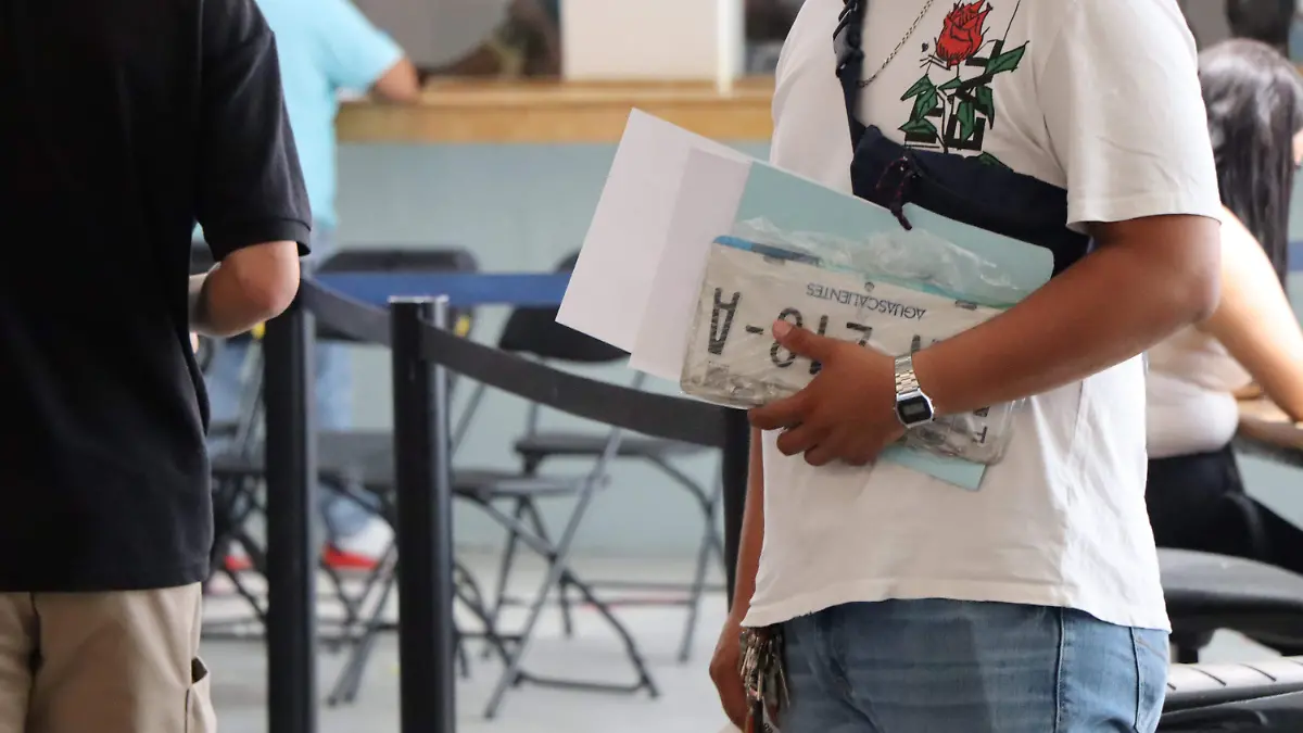 Canejo de placas-Finanzas