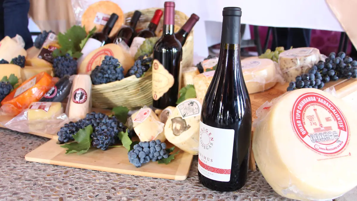 Vinos-Vendimia-Ruta del vino