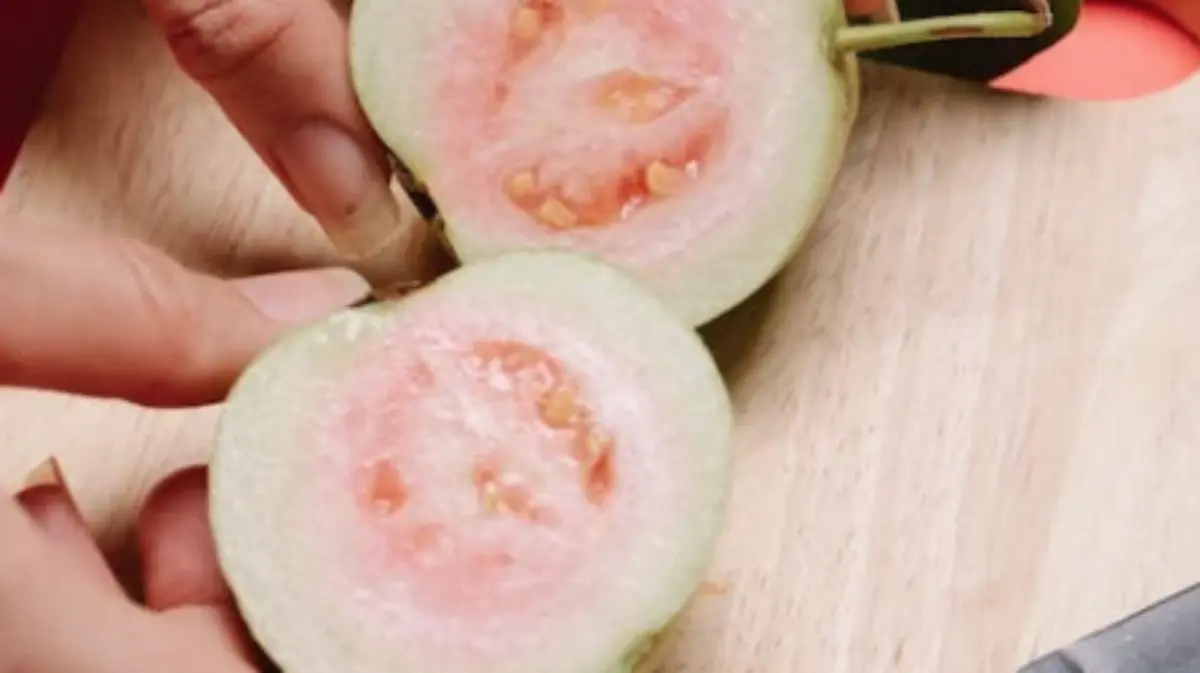 Mole de Guayaba-Aguascalientes