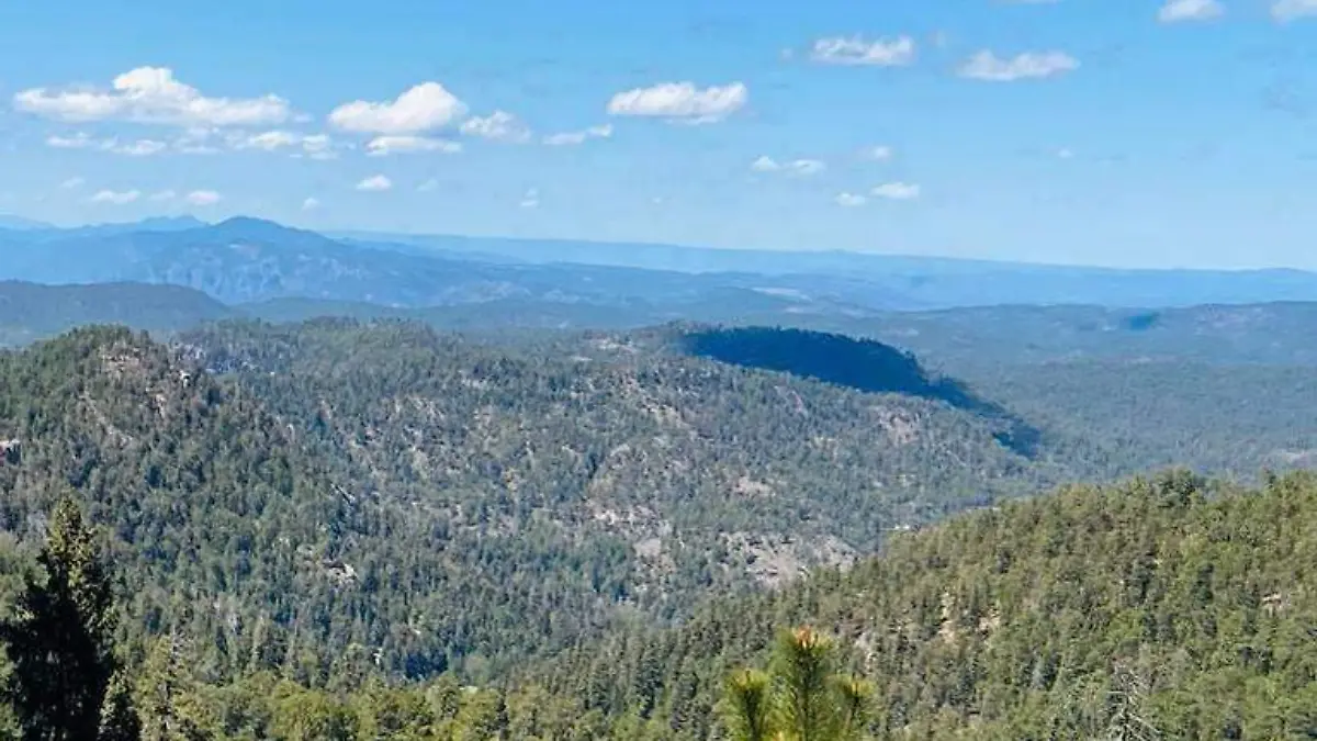 Triangulo Dorado - archivo sol de parral