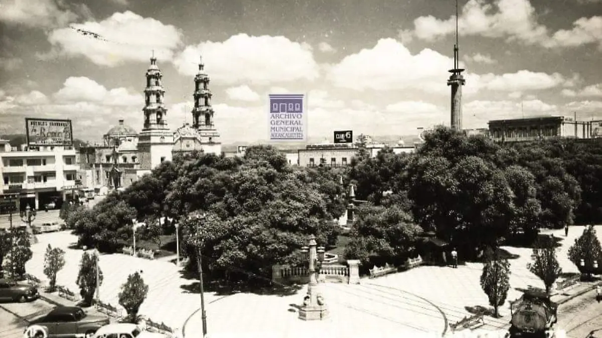 Águila- Aguascalientes