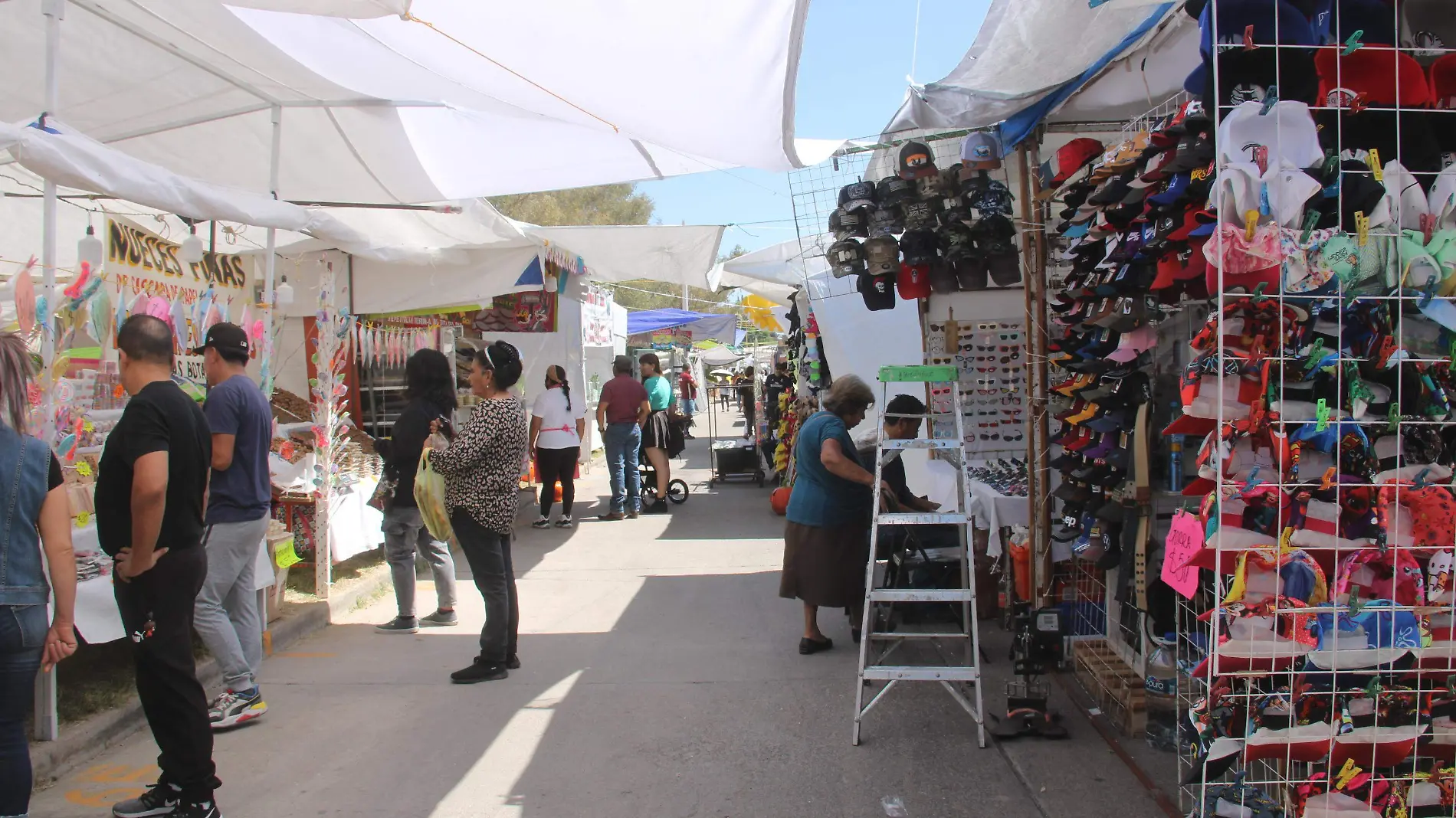 MERCADO TIANGUIS TIANGUIS DE PULGAS