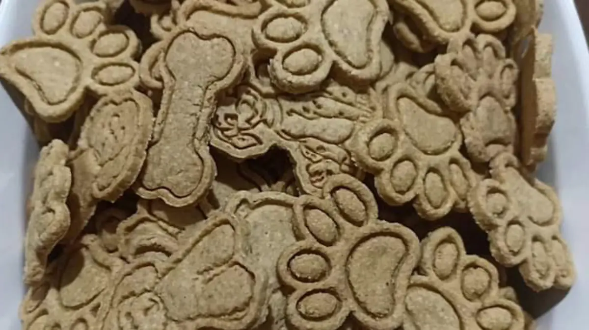 Captura de pantalla 2023-12-03 a la(s) 11.16.07