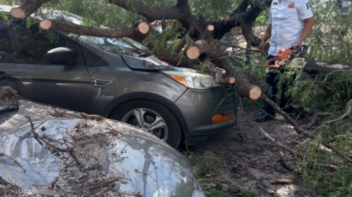 Captura de pantalla 2024-01-08 a la(s) 16.43.57