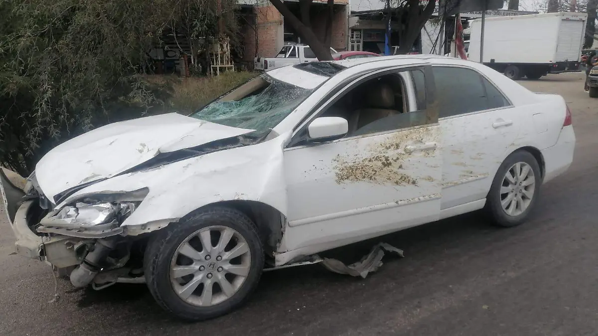 WhatsApp Image 2024-01-03 at 12.50.30 PM