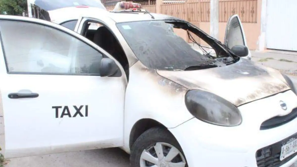 WhatsApp Image 2024-02-11 at 8.55.51 AM (1)