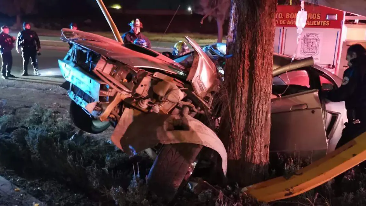 WhatsApp Image 2024-01-07 at 11.26.16 AM