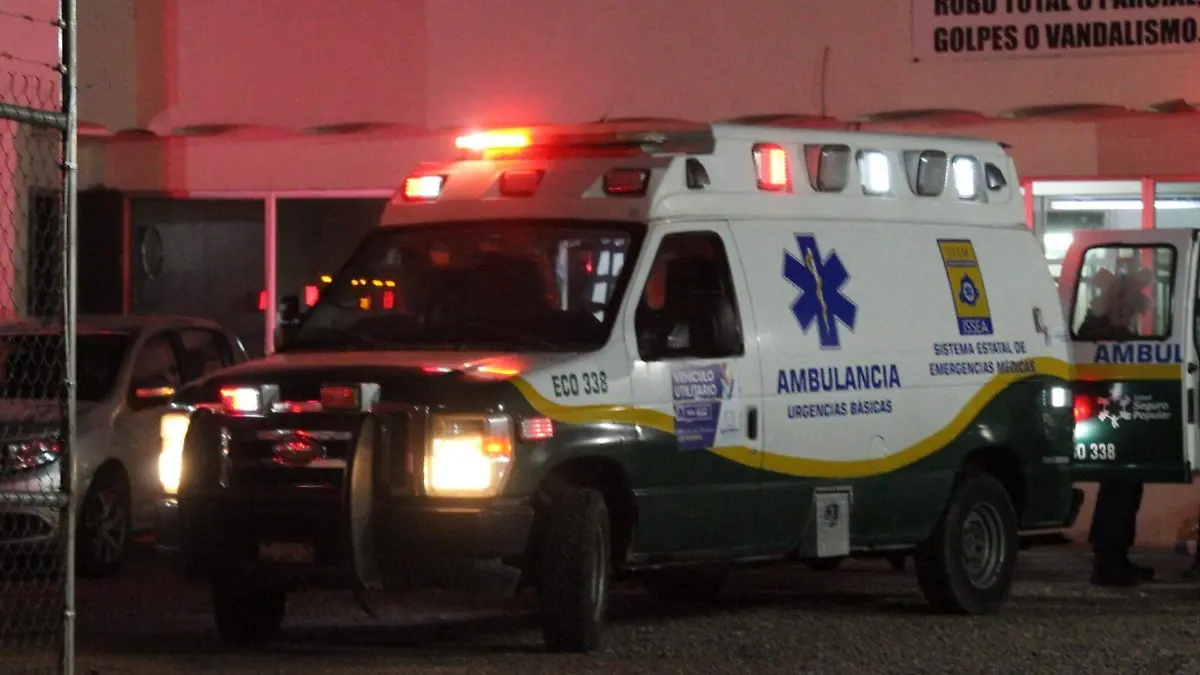 WhatsApp Image 2024-10-22 at 1.11.47 PM